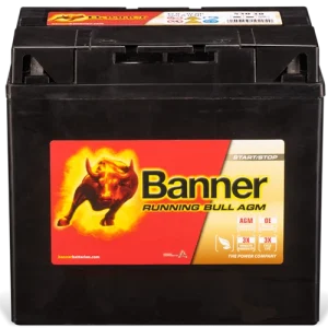 Banner trädgårdsbatteri +H 12v 30Ah